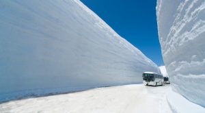Snow Corridor