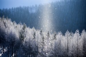 Diamon Dust Hokkaido