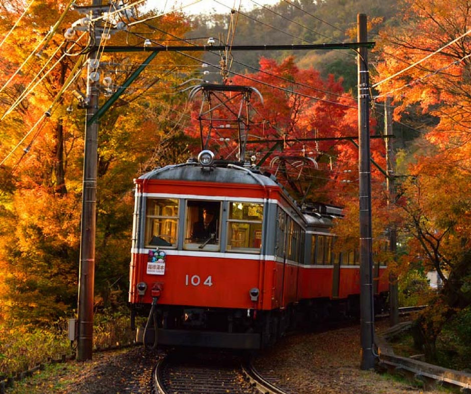 นั่งรถไฟชมวิว ใบไม้เปลี่ยนสีฮาโกเน่