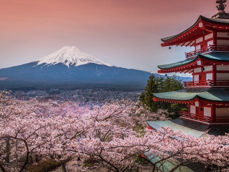 Sakura Chureito Pagoda