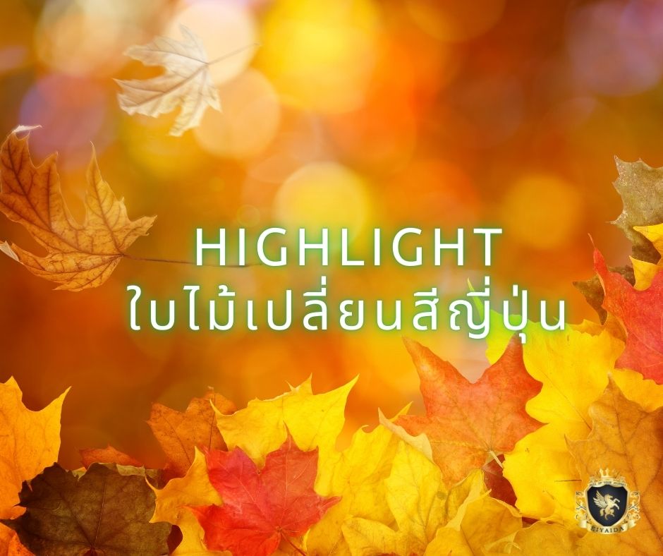 ไฮไลท์ใบไม้เปลี่ยนสีญี่ปุ่น