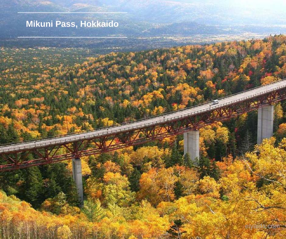 ใบไม้เปลี่ยนสี ที่ Mikuhi Pass