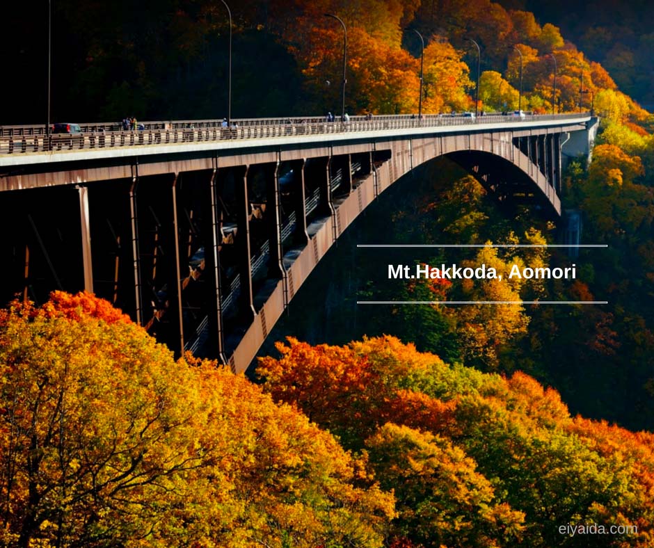 ใบไม้เปลี่ยนสี ที่ Mt.Hakkoda Aomori