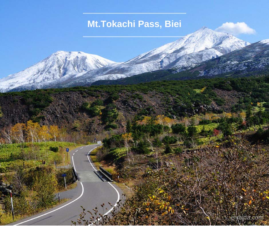 ใบไม้เปลี่ยนสี ที่ Mt.Tokachi Biei