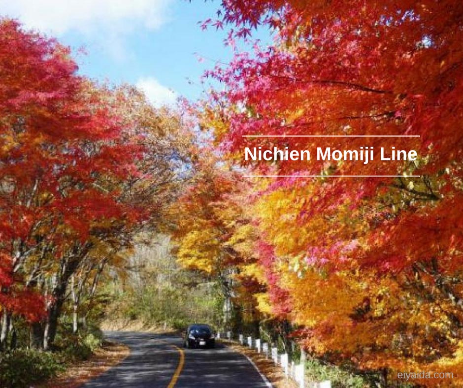 ใบไม้เปลี่ยนสี ที่ Tochigi