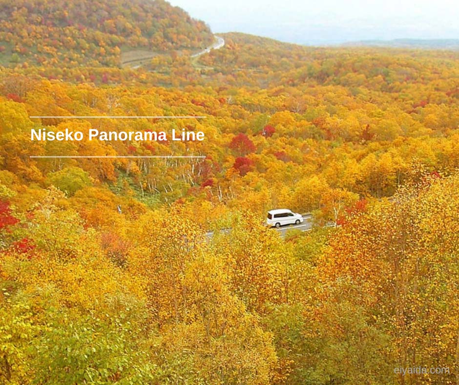ใบไม้เปลี่ยนสี ที่ Niseko