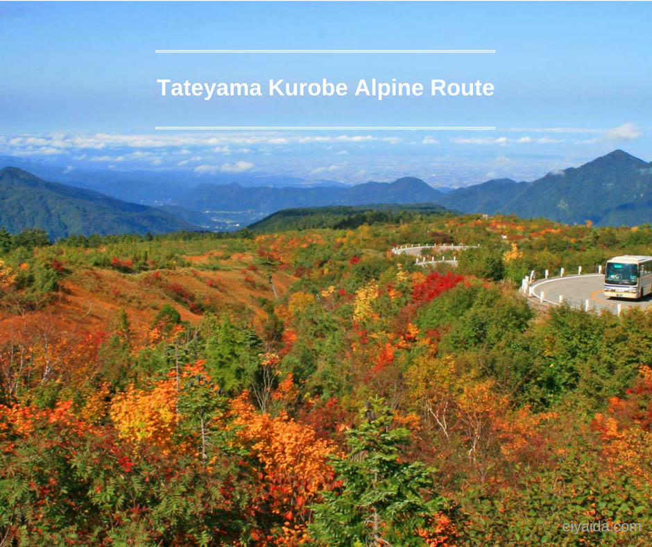 ใบไม้เปลี่ยนสี ที่ Japan Alps