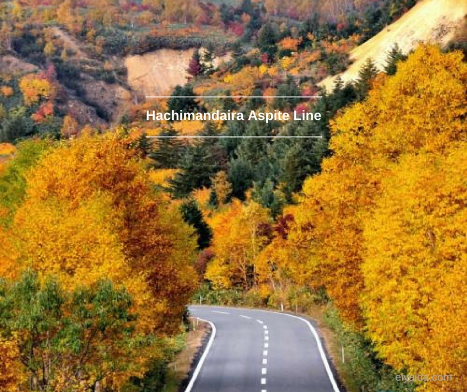 ใบไม้เปลี่ยนสี ที่ Hachimantai