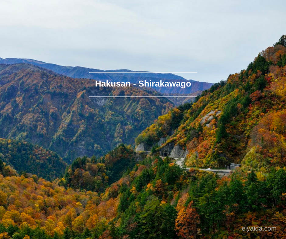 ใบไม้เปลี่ยนสี ที่ Shirakawago