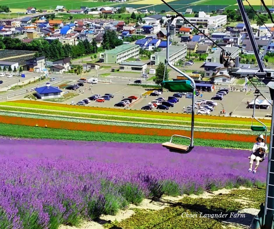 เที่ยวญี่ปุ่น Choei Lavender Farm