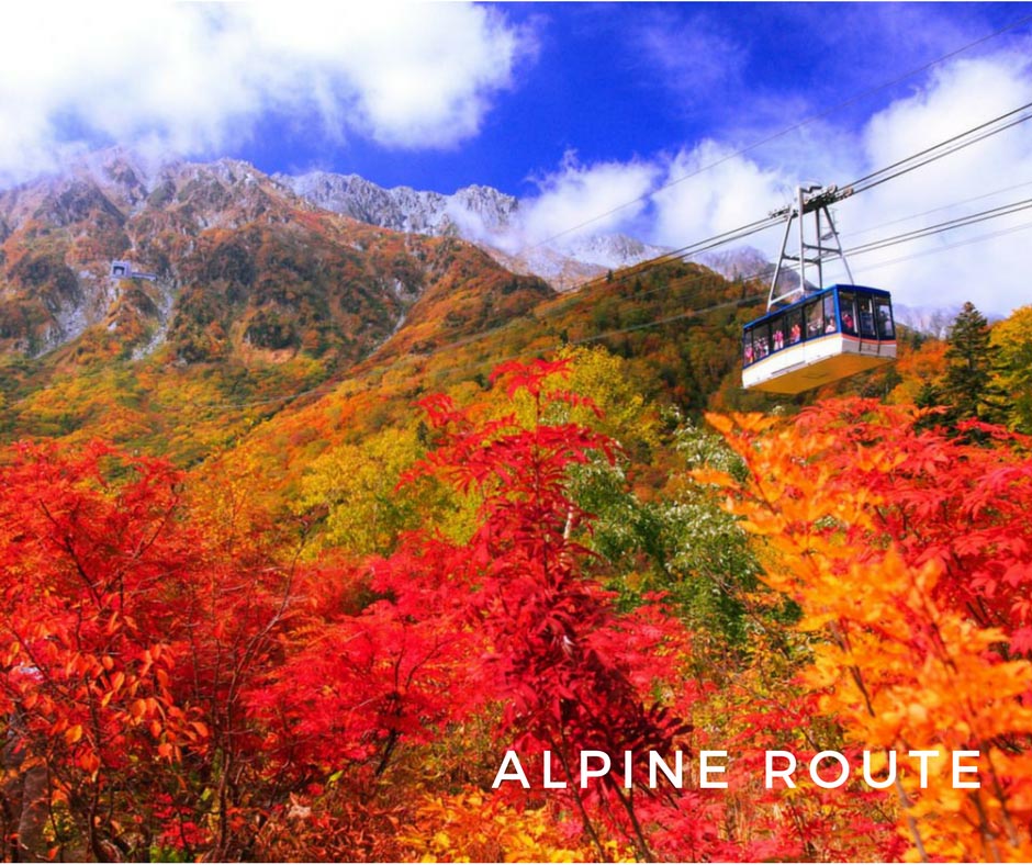 ใบไม้เปลี่ยนสี Alpine Roue