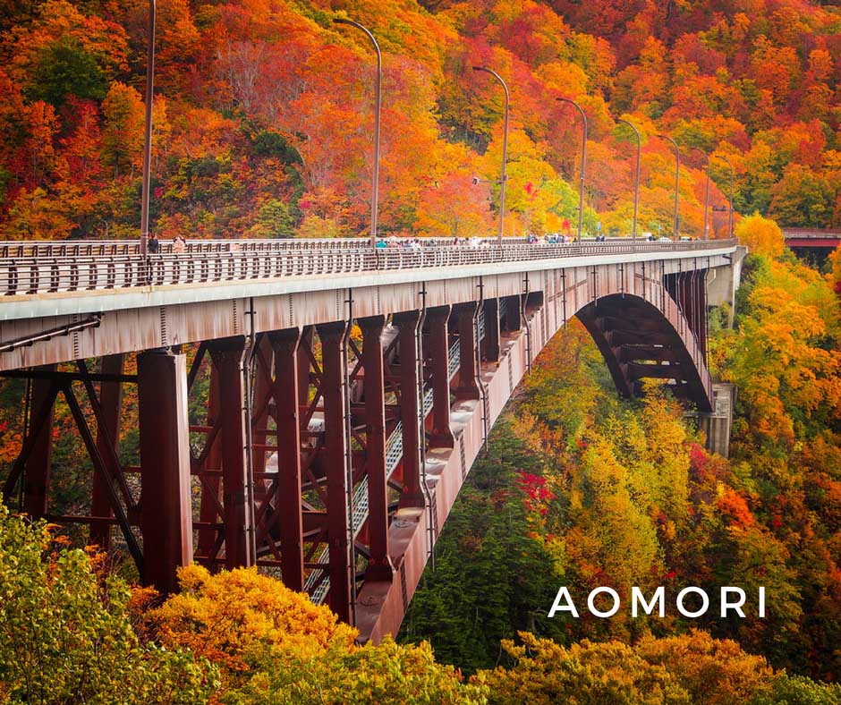 พยากรณ์ใบไม้เปลี่ยนสี Aomori