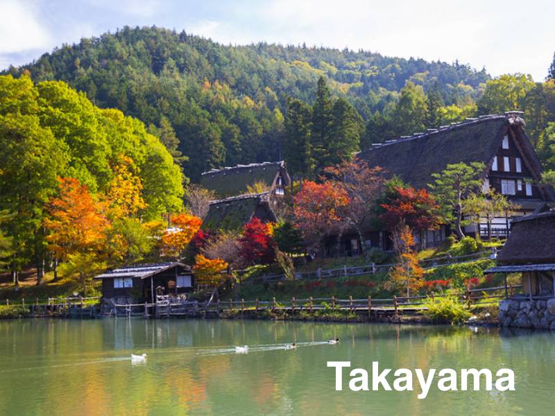 ใบไม้เปลี่ยนสี Takayama