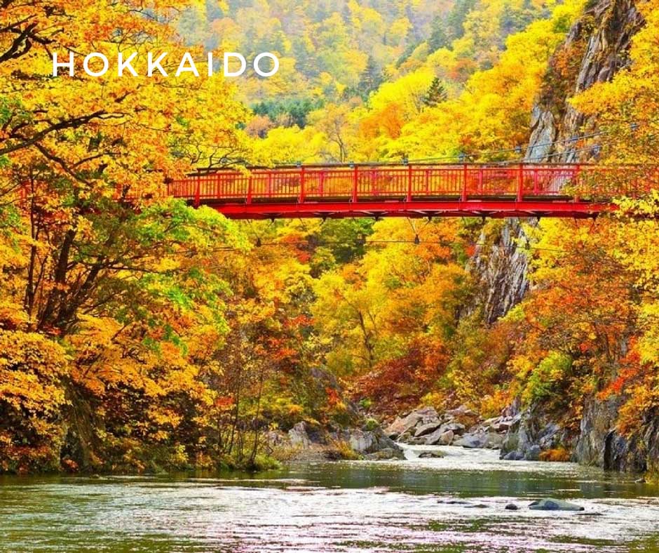 พยากรณ์ใบไม้เปลี่ยนสี Hokkaido