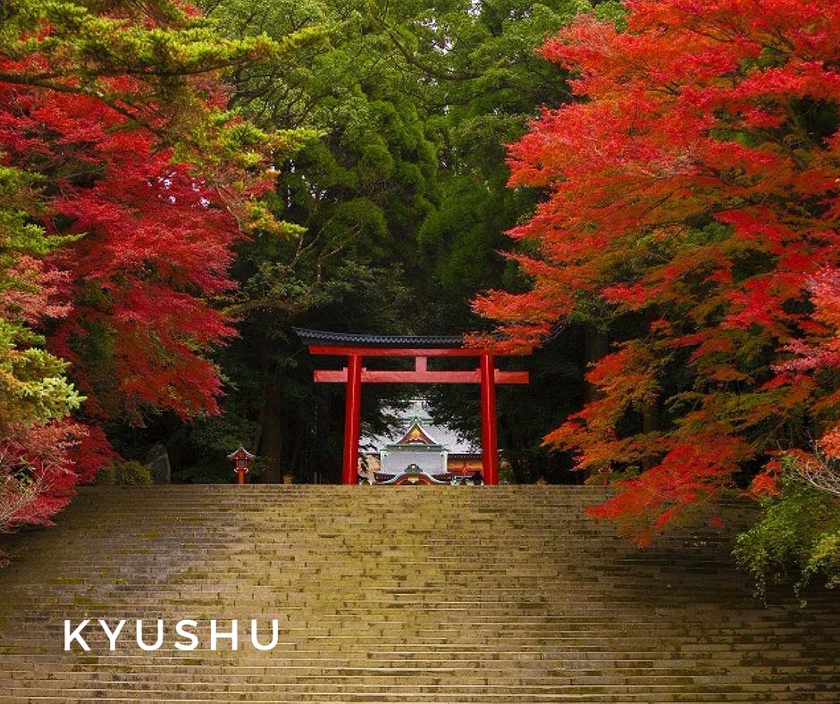 พยากรณ์ใบไม้เปลี่ยนสี Kyushu
