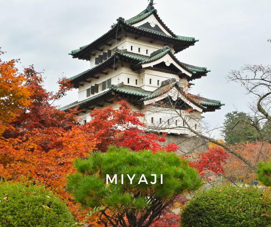 พยากรณ์ใบไม้เปลี่ยนสี Miyaji
