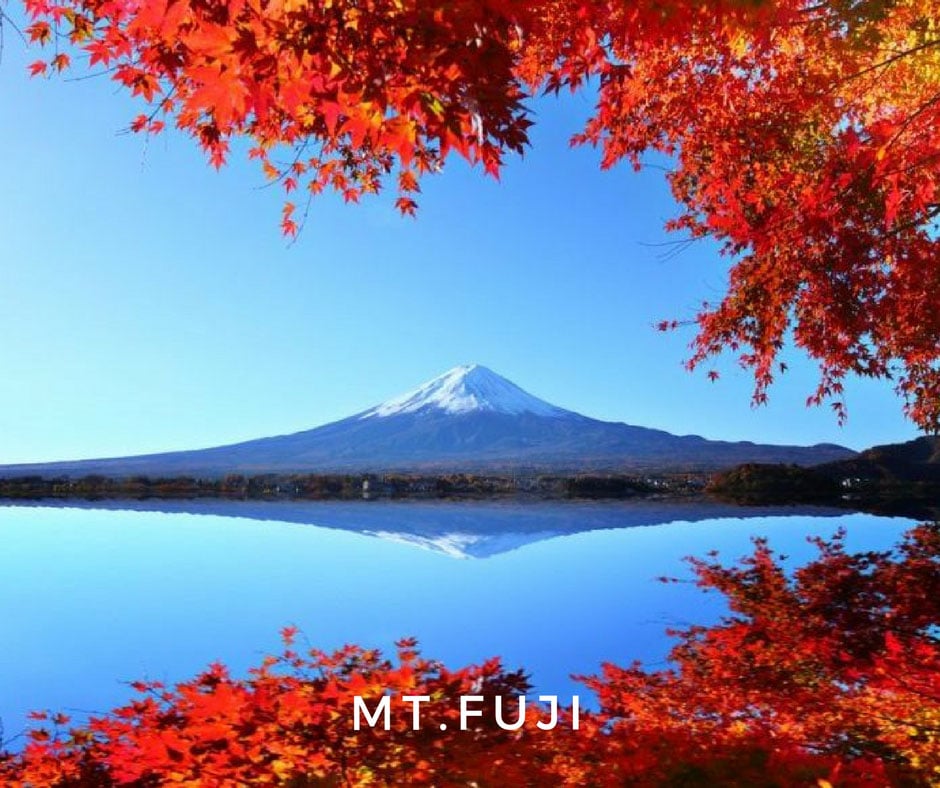 พยากรณ์ใบไม้เปลี่ยนสี Mt. Fuji