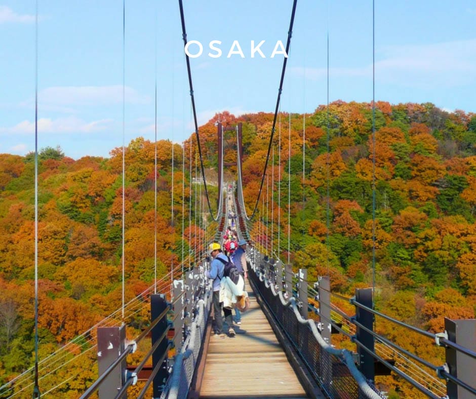 พยากรณ์ใบไม้เปลี่ยนสี Osaka