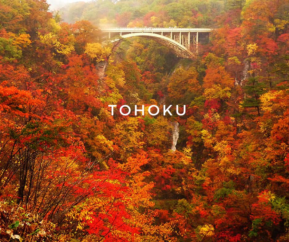 พยากรณ์ใบไม้เปลี่ยนสี Tohoku
