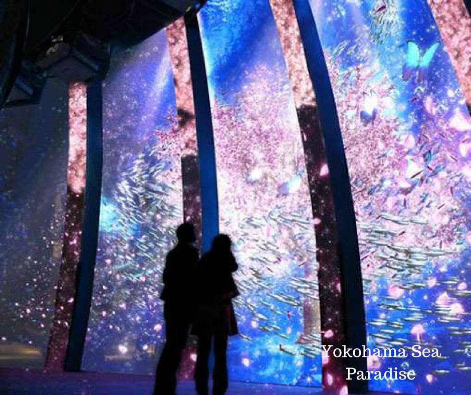 Yokohama Sea Paradise - Eiyaida
