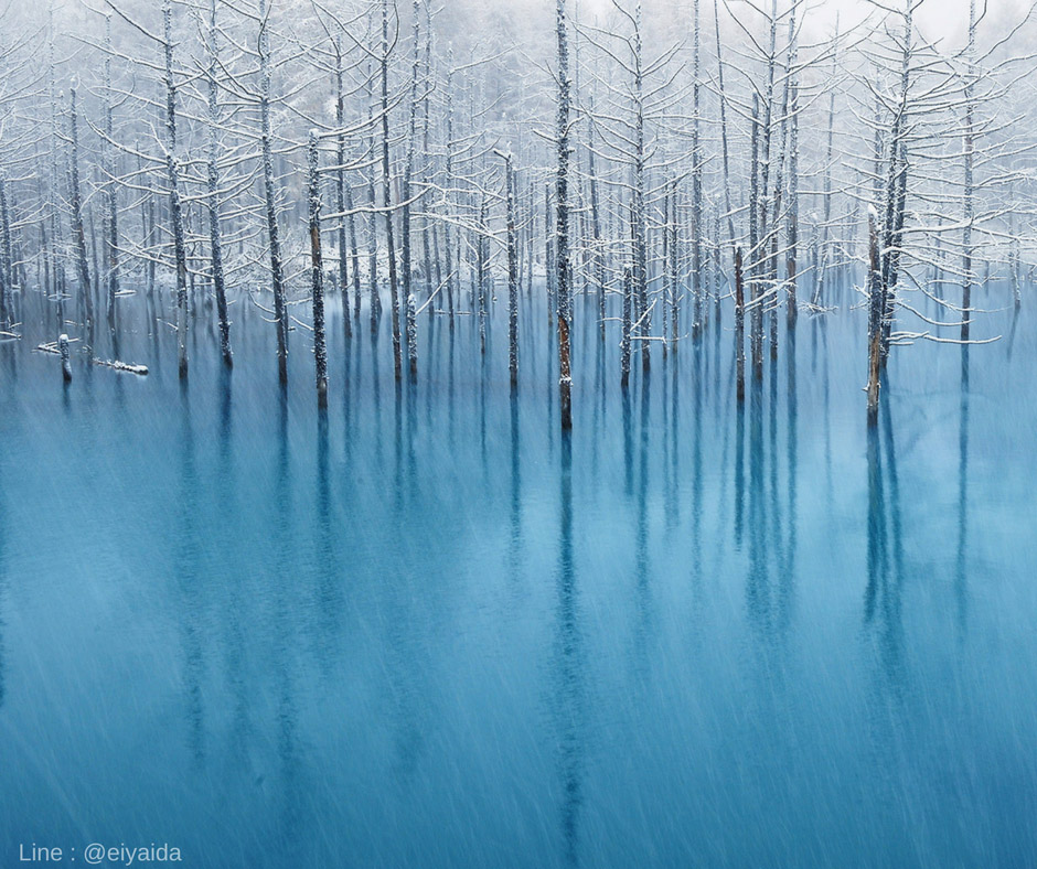 Winter View at Blue Pond