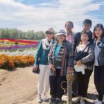 ทุ่งลาเวนเดอร์ฮอกไกโด