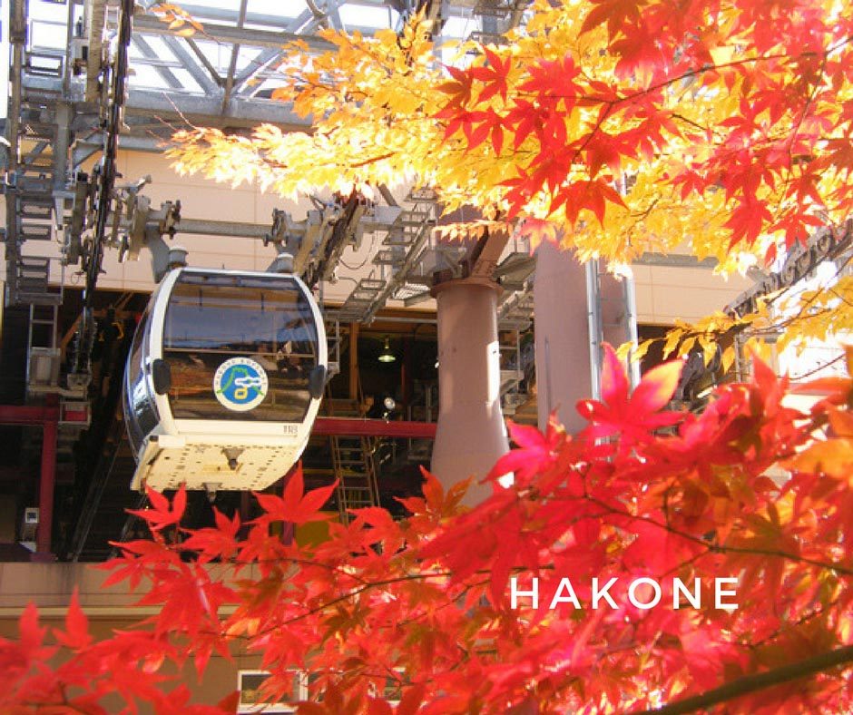 พยากรณ์ใบไม้เปลี่ยนสี Hakone